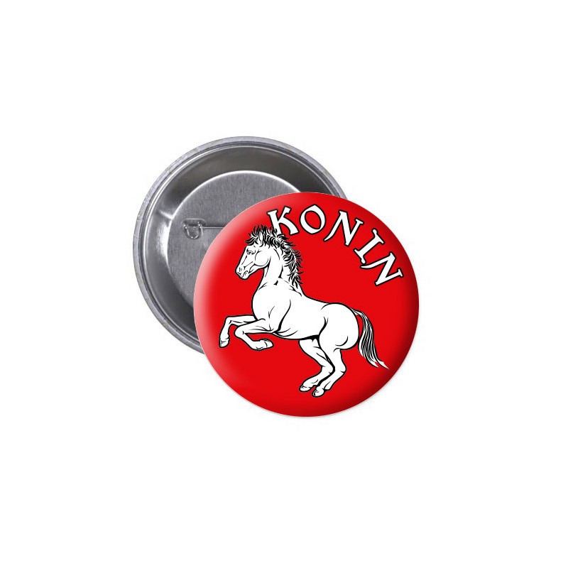 Przypinka na Agrafce Konin Herb