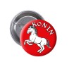 Przypinka na Agrafce Konin Herb